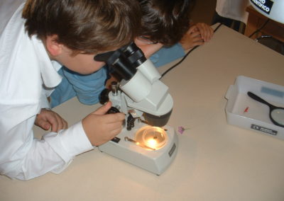 Atividade no Exterior